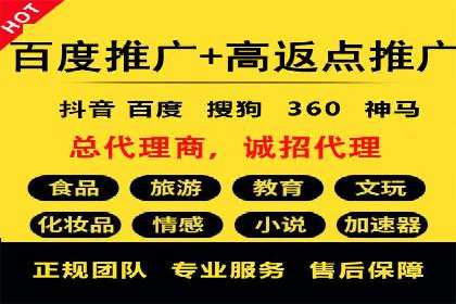 搜索引擎营销（SEM）的投放策略与效果评估——以某行业领先企业的案例分析